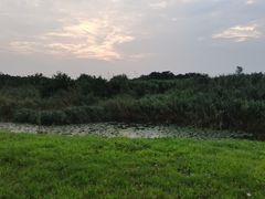 -同里国家湿地公园