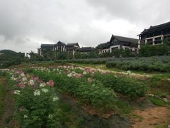 -清远熹乐谷温泉度假酒店