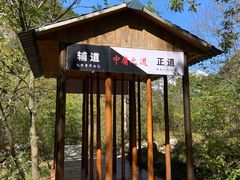 -青峰峡国家森林公园
