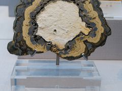 -湖南省地质博物馆