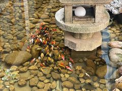 -绣园·茶食宴(湘绣博物馆店)