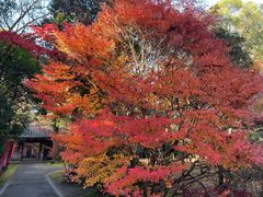 -醍醐寺