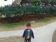 -人民公园(罗湖区)