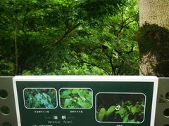 -福道