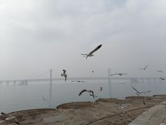 -星海广场
