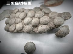 -中国地质博物馆