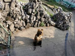 -成都动物园