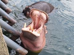 -杭州野生动物世界