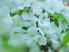 -海棠花溪(元大都城垣遗址公园)