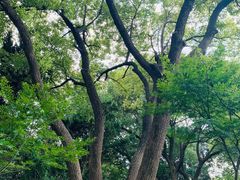 -上海市保健医疗中心