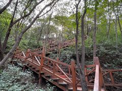 -大岭沟猕猴桃谷风景区