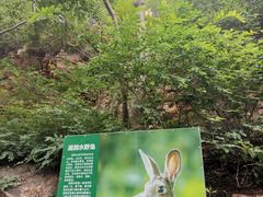 -湖洞水自然风景区