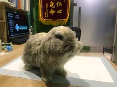 -雨林宠物医院 非犬猫异宠专科