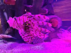 -沈阳海洋探索中心