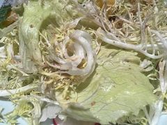 -滨河壹号烤鸭