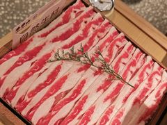 -季季山·云南野生菌火锅(上海首店)