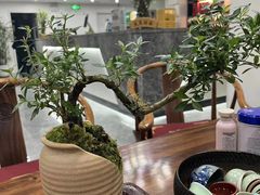 -翟韵茶咖棋牌