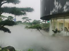 -罗红摄影艺术馆