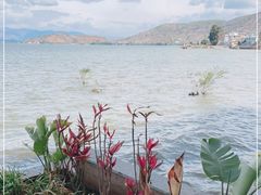 -双廊碎片·吾乡海景度假公馆