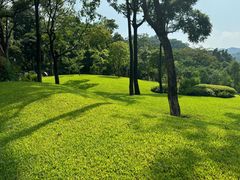 -云溪植物园