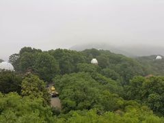 -紫金山天文台