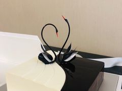 -BLACKSWAN黑天鹅(环球店)