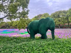 -上海都市菜园