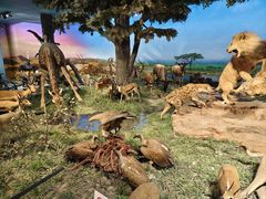 -国家自然博物馆