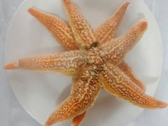 -宾朋海鲜特色美食餐厅·纯手工鲅鱼水饺(兴海路店)