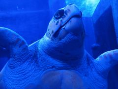 -波塞冬旅游度假区