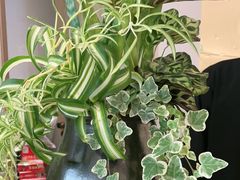 -茉里粤菜(皇姑万象汇店)