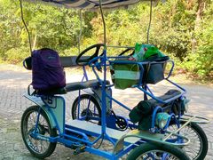 -上海海湾国家森林公园