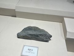 -辽宁古生物博物馆