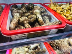 -菌海森林·非遗野生菌火锅(西山区滇池路摩根道店)
