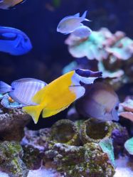 -Zoolung Zoolung动物主题公园(海信广场店)