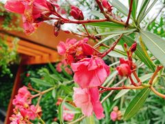 -广州神农草堂中医药博物馆