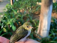 -松山湖南湖湾露营营地