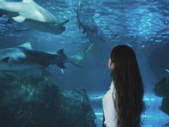 -江和美海洋公园