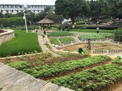-天河儿童公园