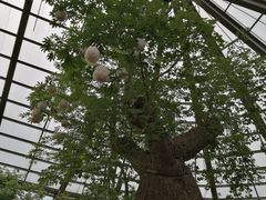-南通洲际绿博园