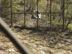 -哈尔滨北方森林动物园