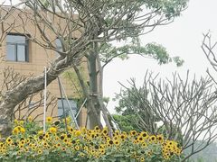 -深圳仙湖植物园