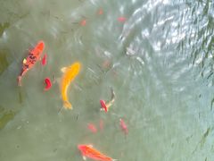 -白马涧龙池景区