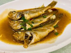 小黄鱼-温岭人家(红花北路店)