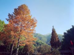 -仙霞关景区