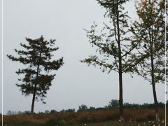 -汉长安城未央宫国家考古遗址公园