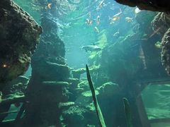 -长鹿旅游休博园