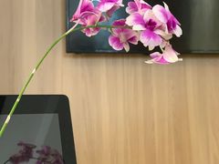 -粤仔湾砂锅粥(金太湖店)