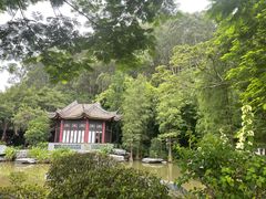 -顺峰山公园