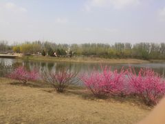 -东郊湿地公园